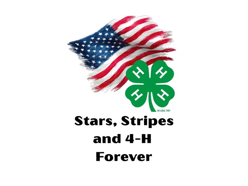Fair Logo